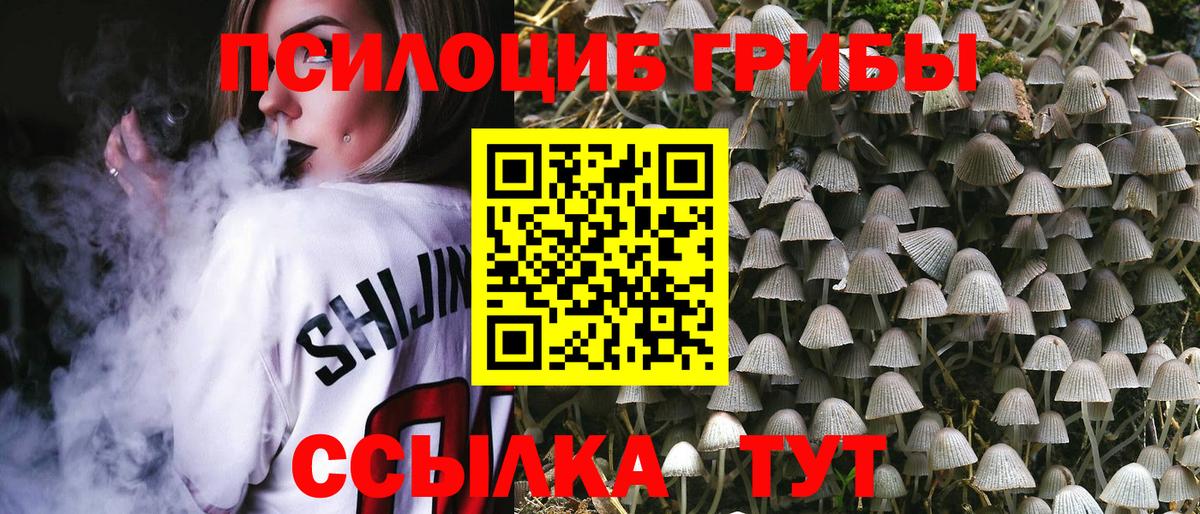 Псилоцибиновые грибы Cubensis  Вход с VPN  Чита  Псилоцибиновые грибы мухоморы 
