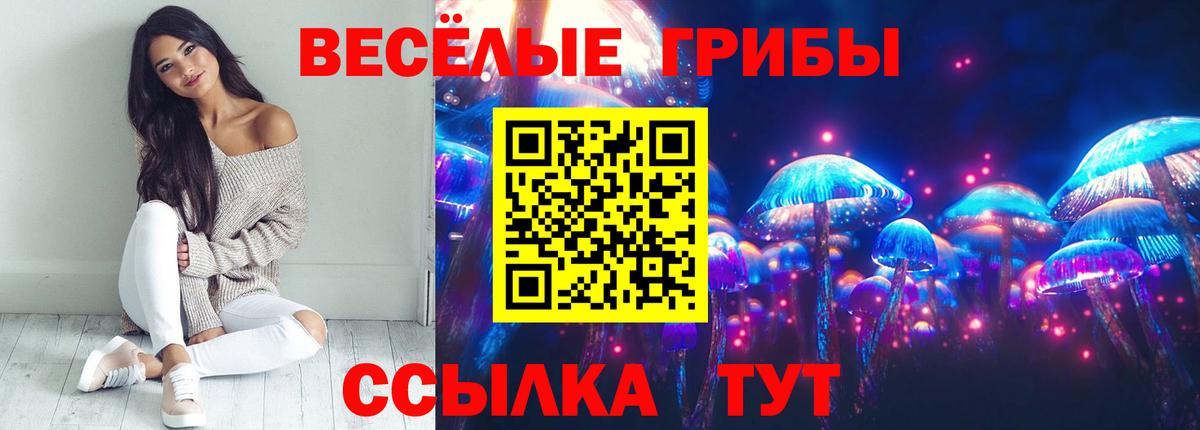 Псилоцибиновые грибы Cubensis Чита